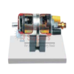 Electrically Controlled Fuel Pump Anatomical Model